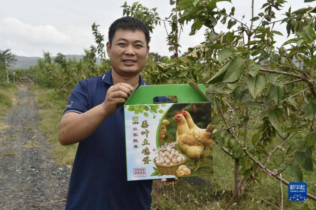 集结游戏平台电子